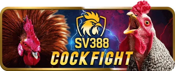 Ưu đãi đặc biệt cho các sự kiện thể thao lớn tại mcw777 app